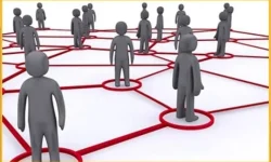 network_11zon-540x332